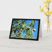 Carte Amandes dans le ciel bleu (Fleur jaune)
