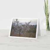 Carte Amandier en Fleurs (Devant)