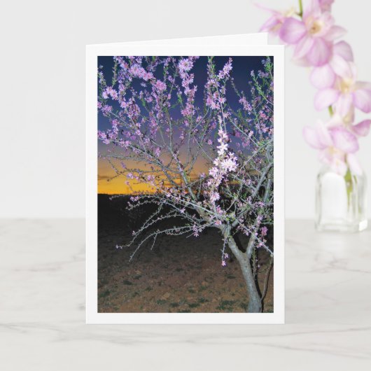 Carte Amandier la nuit (Orchidée)