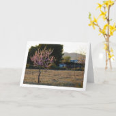 Carte Amandiers dans le verger (Fleur jaune)