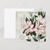 Carte amarylis français vintage (Devant / Derrière)