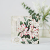 Carte amarylis français vintage (Debout devant)