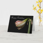 Carte Amaryllis 53 (Fleur jaune)