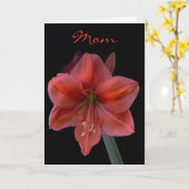 Carte Amaryllis le jour noir de mère (Fleur jaune)