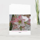 Carte Amaryllis rose, Pensée pour toi (Dos)