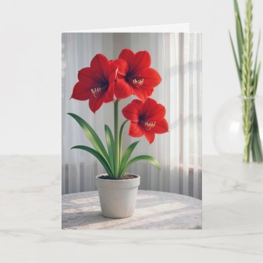Carte Amaryllis rouge fleuri d'anniversaire  (Devant)