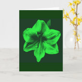 Carte Amaryllis vert (Fleur jaune)