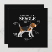 Carte Amateurs beagles/ Anatomie D'Un Beagle (Devant / Derrière)