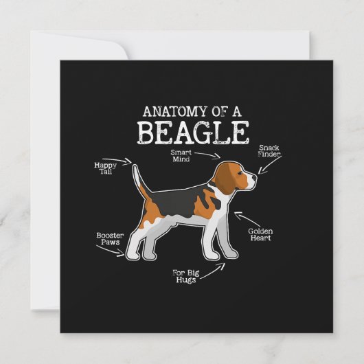 Carte Amateurs beagles/ Anatomie D'Un Beagle (Devant)
