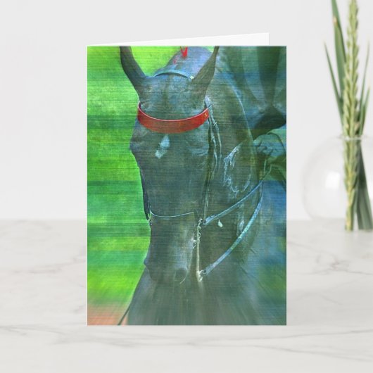 Carte Américain Saddlebred, anniversaire (Devant)