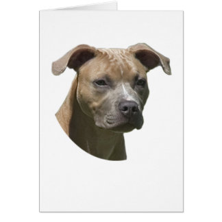 Carte américaine de Terrier (APBT) de pitbull