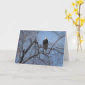 Carte American Bald Eagle in Tree Card - Blank Inside (Fleur jaune)
