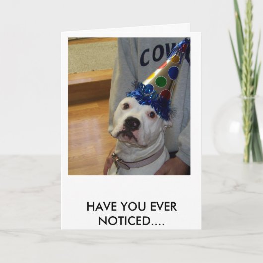 Carte american bulldog birthday (Devant)