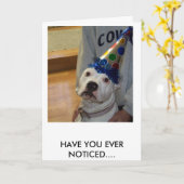 Carte american bulldog birthday (Fleur jaune)