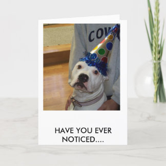 Carte american bulldog birthday