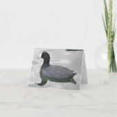 Carte American Coot Photo Folded Note Card (Devant)