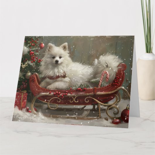 Carte American Eskimo Chien Festif de Noël (Devant)