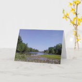 Carte American River Sacramento, CA (Fleur jaune)