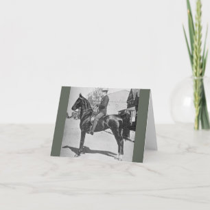 Carte American Saddlebred Horse photo Vintage