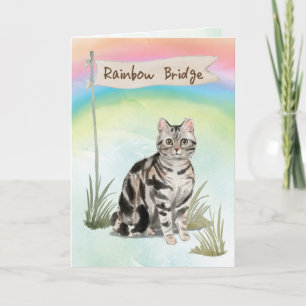 Carte American Short Hair Cat Pet Sympathie sur Rainbow