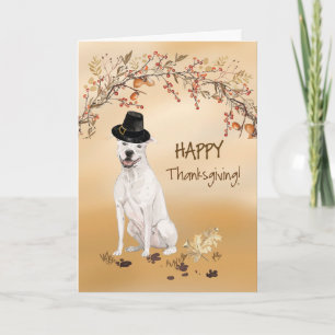 Carte American Staffordshire Terrier Funny Pilgrim Casqu