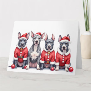 Carte American Staffordshire Terrier tenue de Noël