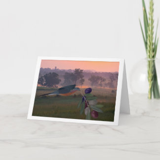 Carte American Unity