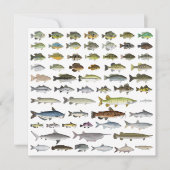 Carte Amérique du Nord Groupe de poissons d'eau douce (Devant)