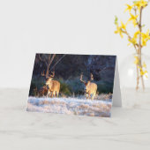 Carte Ami de combat - 04 (Fleur jaune)