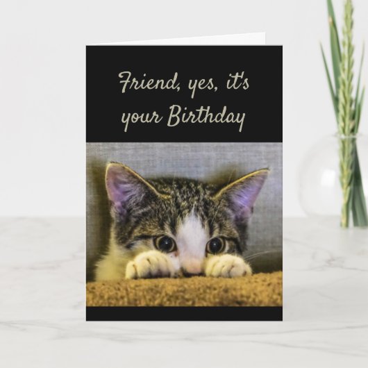 Carte Ami de l'amour doux Anniversaire Cute Kitten (Devant)