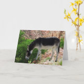 Carte Ami d'esprit animal d'âne - blanc (Fleur jaune)