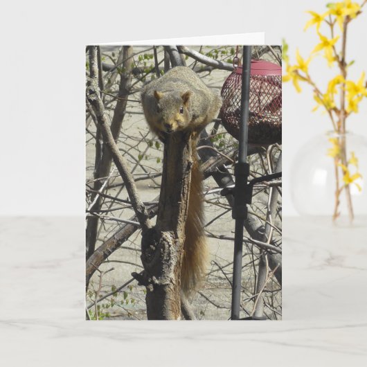 Carte Ami drôle d'écureuil (Fleur jaune)