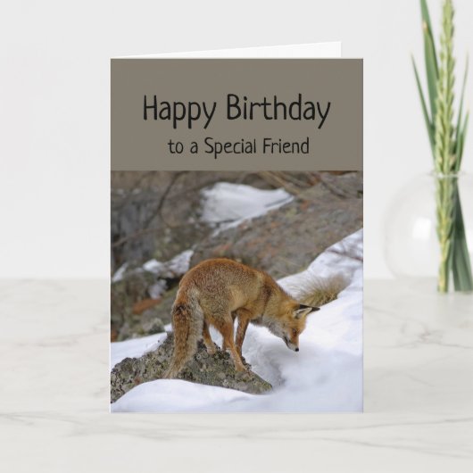 Carte Ami Spécial Merveilleux Anniversaire Fox Animal (Devant)