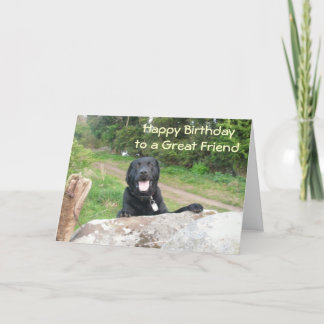 Carte Amis