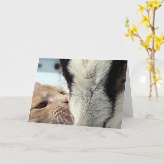 Carte Amis (Fleur jaune)