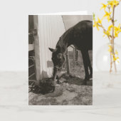 Carte Amis (Fleur jaune)