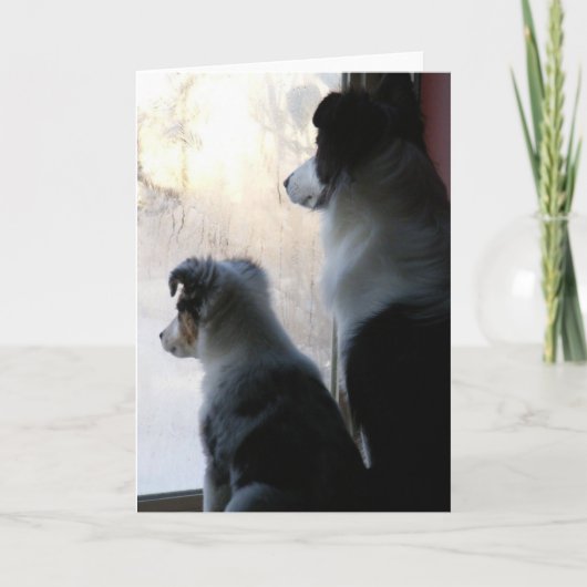 Carte Amis (Devant)