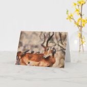 Carte Amis (Fleur jaune)