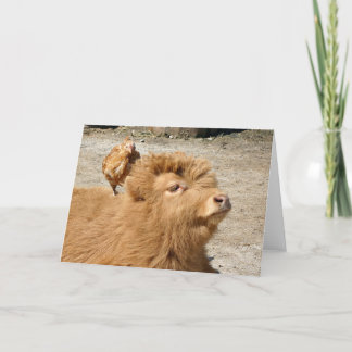 Carte amis Barnyard