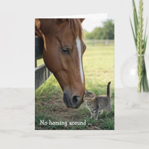 Carte Amis d'anniversaire Cheval avec chaton tigré