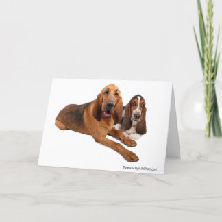 Carte Amis de basset et de limier