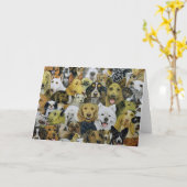 Carte Amis de chien (Fleur jaune)