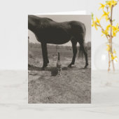 Carte Amis de ferme II (Fleur jaune)