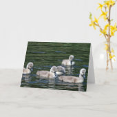 Carte Amis de natation (Fleur jaune)