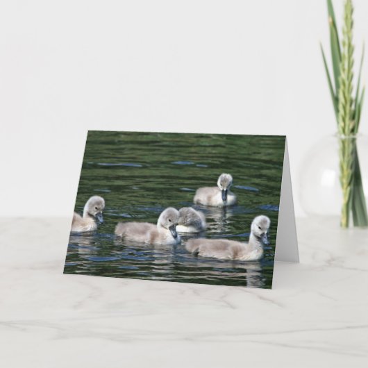 Carte Amis de natation (Devant)