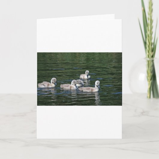 Carte Amis de natation (Devant)