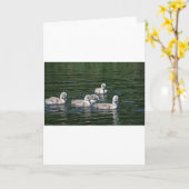 Carte Amis de natation (Fleur jaune)