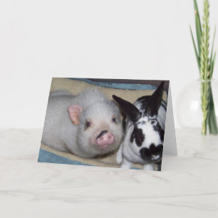 Carte Amis étranges