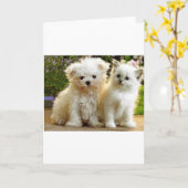 Carte Amis flous (Fleur jaune)