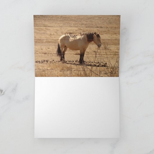 Carte Amis ©Linda Scott (Intérieur)